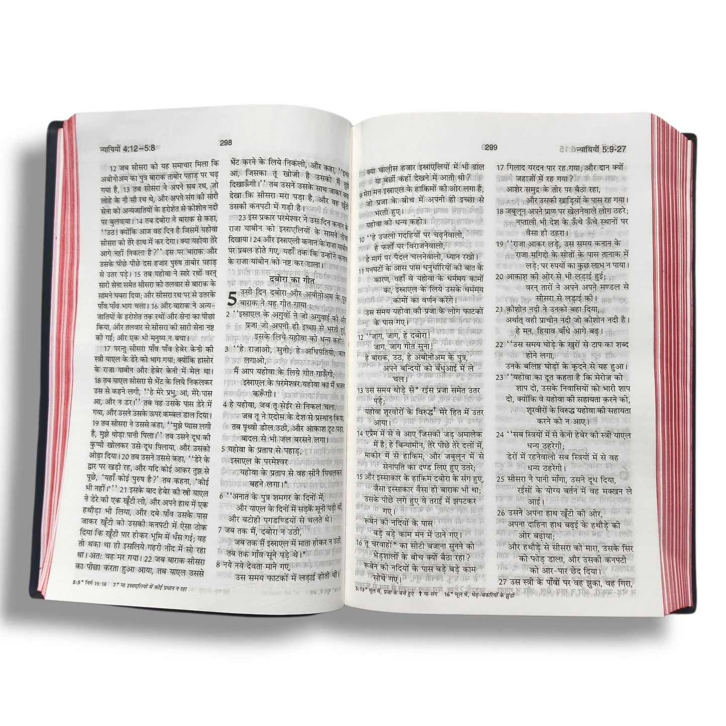 Holy Bible In Hindi | New Edition | Hindi Holy Bible
