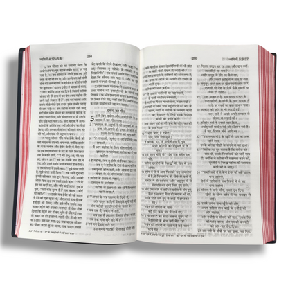Holy Bible In Hindi | New Edition | Hindi Holy Bible