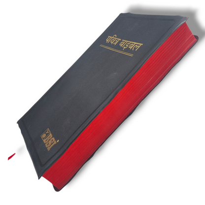 Hindi Holy Bible In Hindi | New Edition Bible Hindi