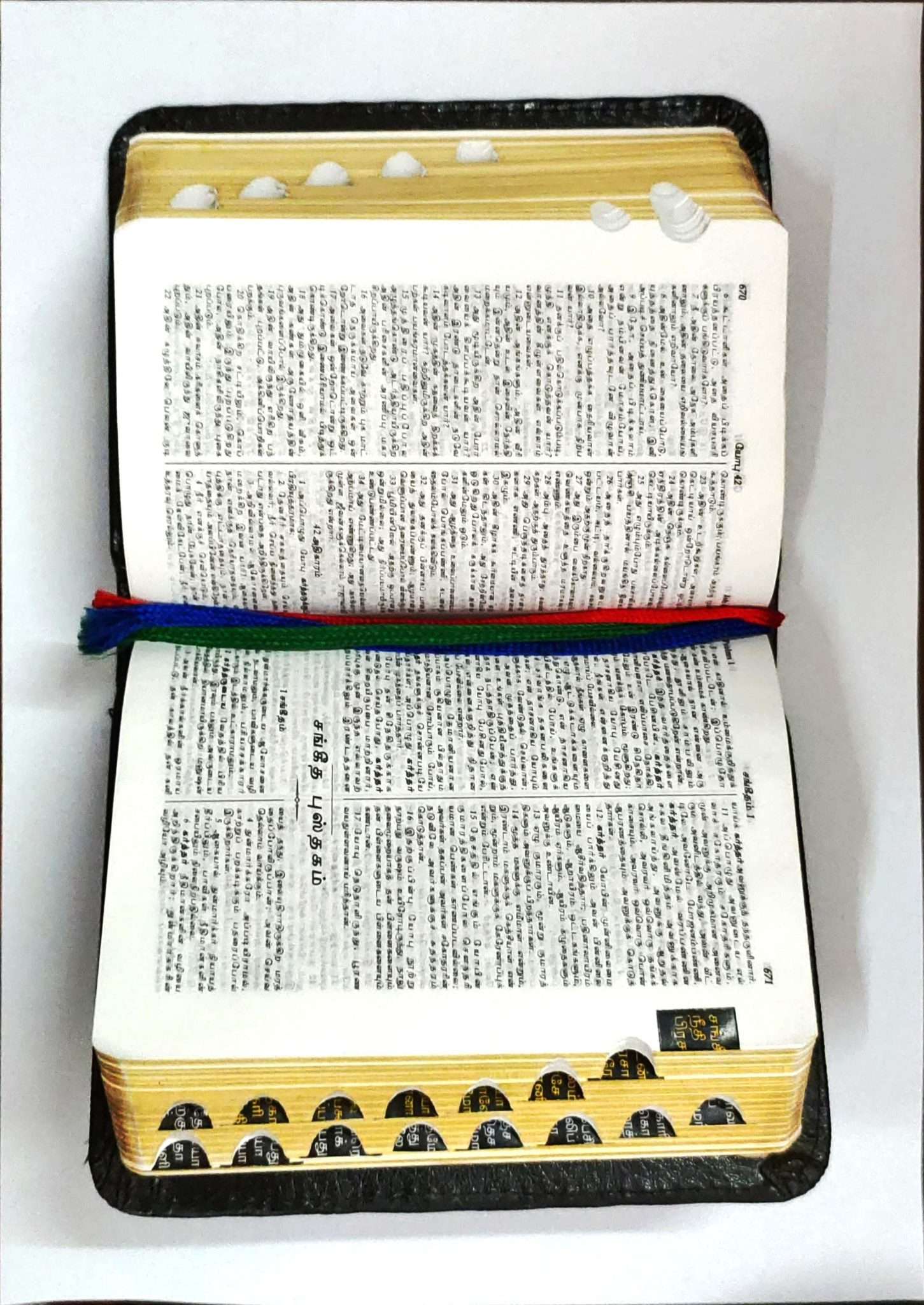 Tamil Bible Compact Edition - Black Leatherette Cover with Thumb Indexing for Easy Navigation
