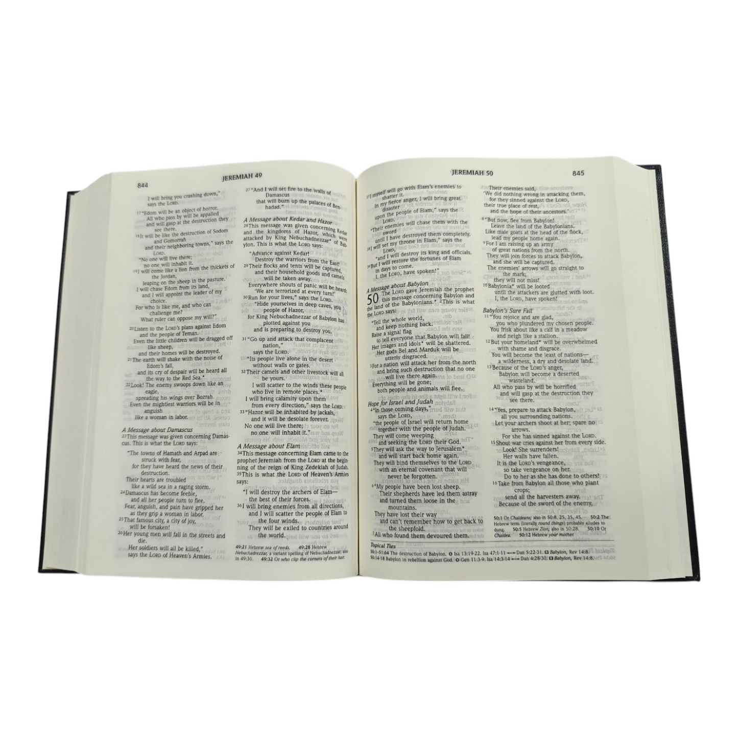NLT Topical Study Bible, New Living Translation (Explore 700+ Topics) | Study Bible, Reference Bible | Holy Bible