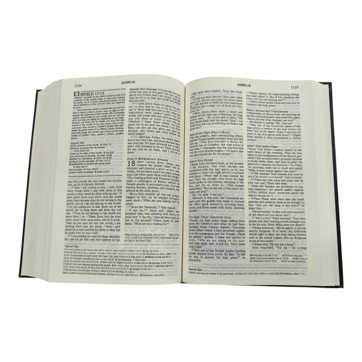 NLT Topical Study Bible, New Living Translation (Explore 700+ Topics) | Study Bible, Reference Bible | Holy Bible