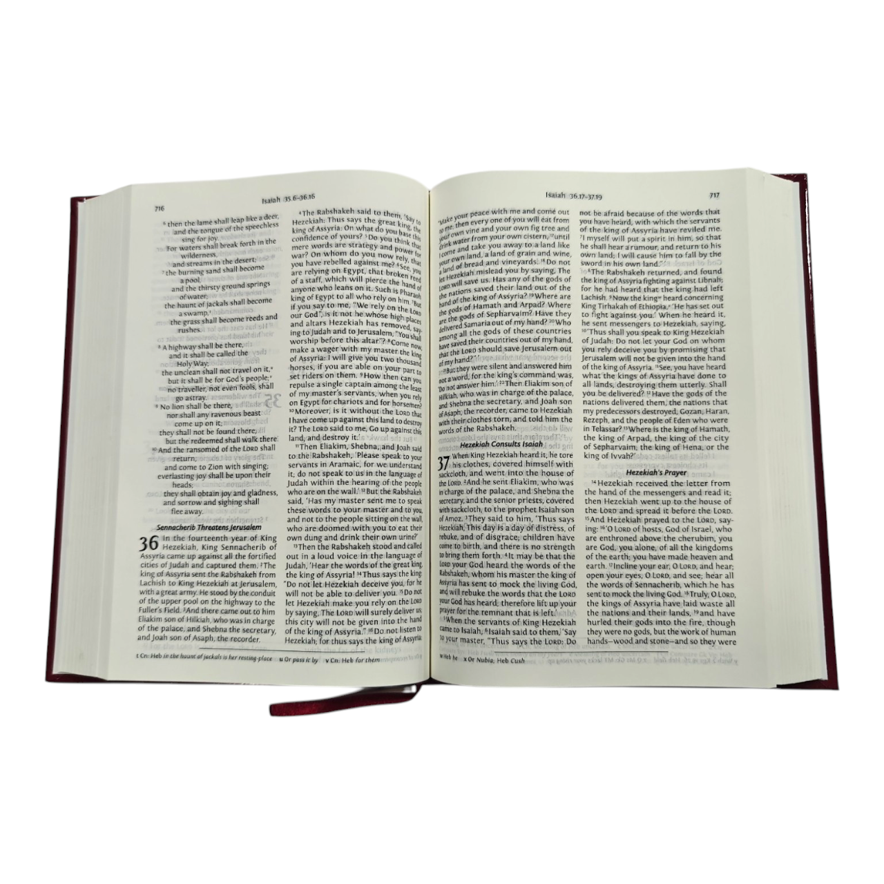 NRSV Bible with Concordance, New Revised Standard Version (Old & New Testament) | Bible Commentary, Bible Reference | English Christian Book