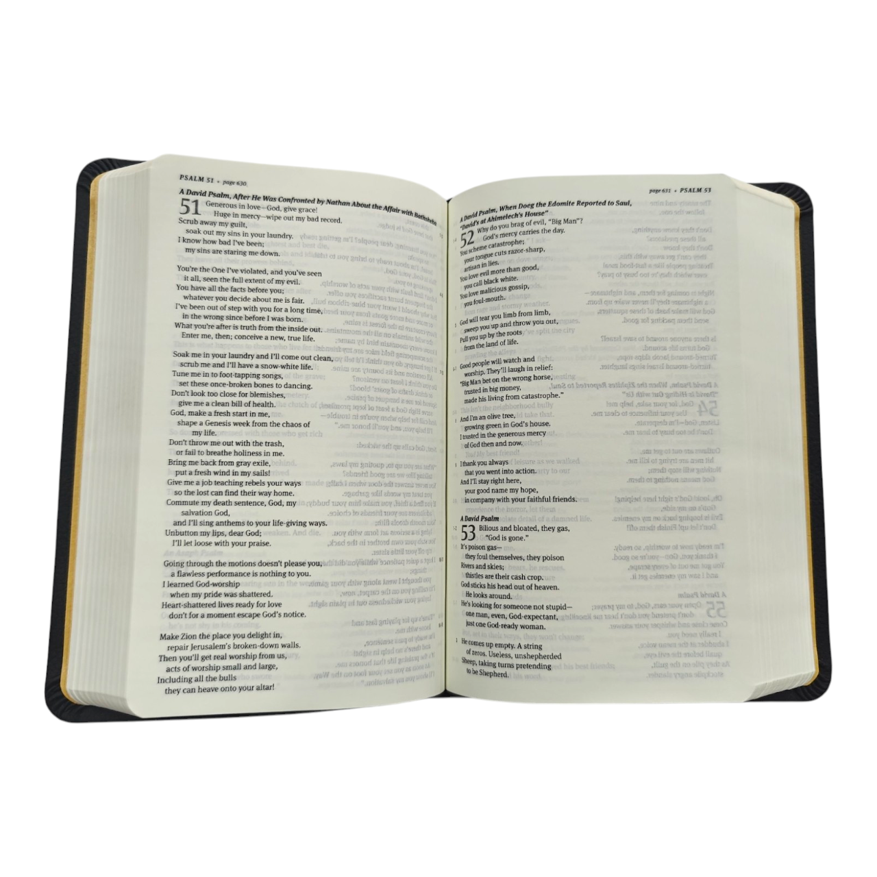 The Message Compact Size Bible, Contemporary Paraphrase | English Bible, Holy Bible
