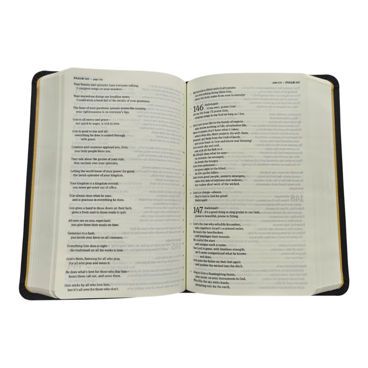 The Message Compact Size Bible, Contemporary Paraphrase | English Bible, Holy Bible