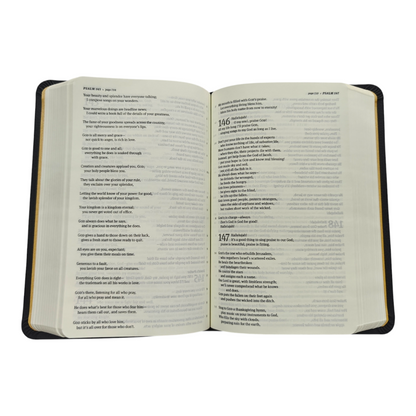 The Message Compact Size Bible, Contemporary Paraphrase | English Bible, Holy Bible