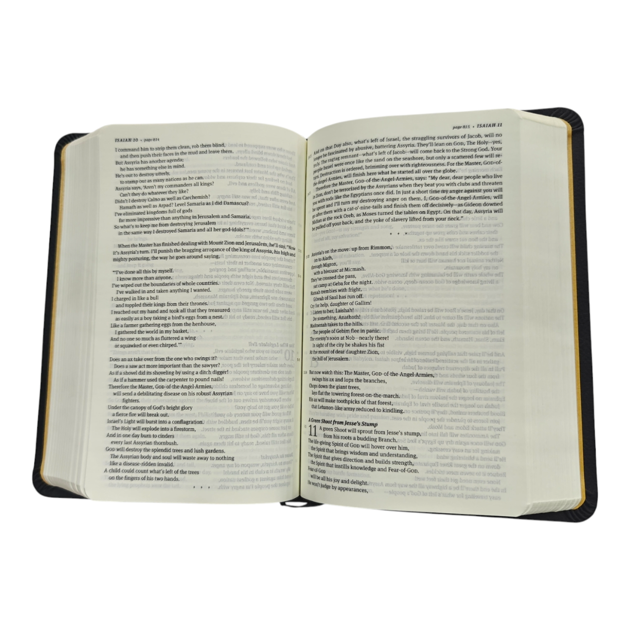 The Message Compact Size Bible, Contemporary Paraphrase | English Bible, Holy Bible