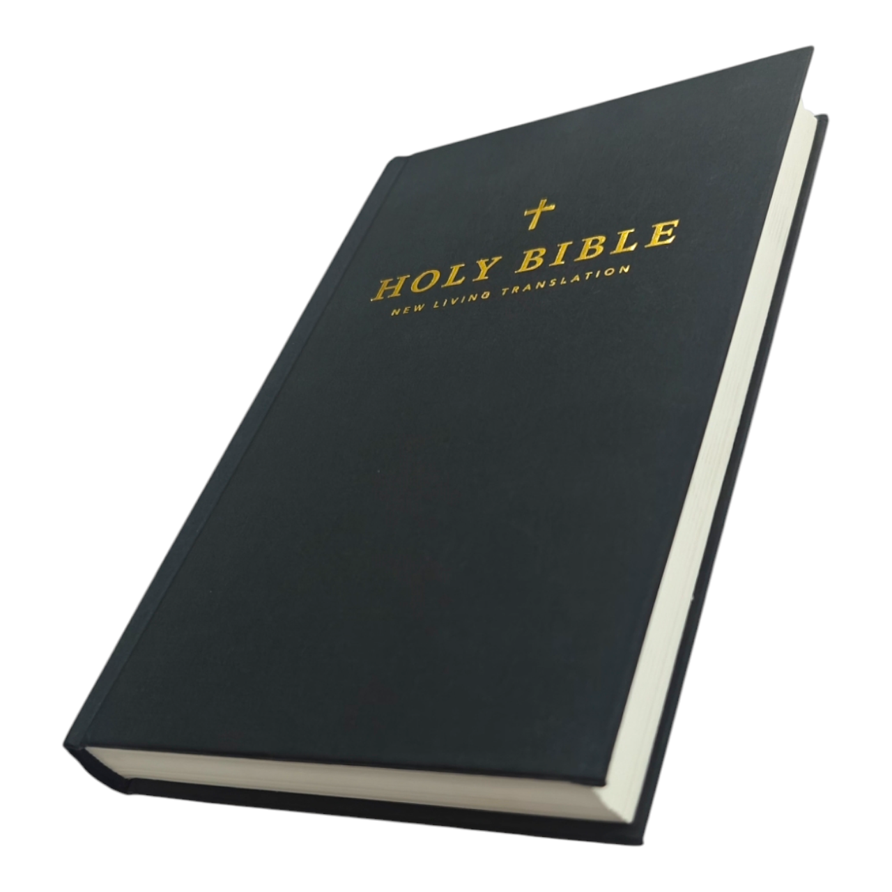NLT Holy Bible, New Living Translation, Clear, Accurate & Easy-to-Read Bible for Daily Reading & Study (Complete Old & New Testament) | English