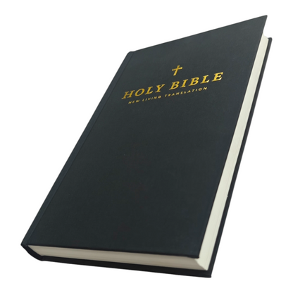 NLT Holy Bible, New Living Translation, Clear, Accurate & Easy-to-Read Bible for Daily Reading & Study (Complete Old & New Testament) | English