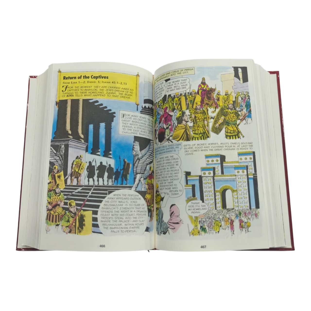 The Picture Bible, Full Color Edition, 233 Timeless Bible Stories in Comic Format (David C. Cook) | Kids Bible, Children's Bible | Holy Bible