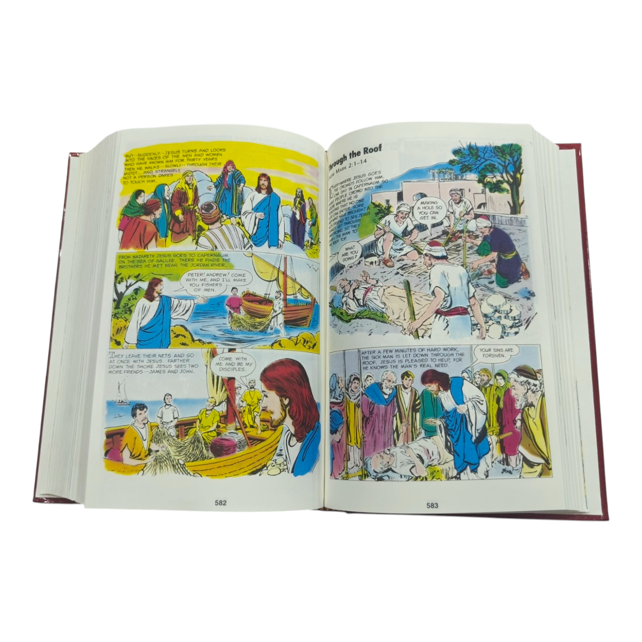 The Picture Bible, Full Color Edition, 233 Timeless Bible Stories in Comic Format (David C. Cook) | Kids Bible, Children's Bible | Holy Bible
