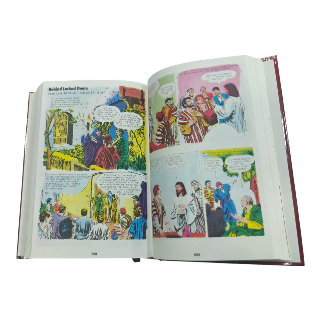 The Picture Bible, Full Color Edition, 233 Timeless Bible Stories in Comic Format (David C. Cook) | Kids Bible, Children's Bible | Holy Bible