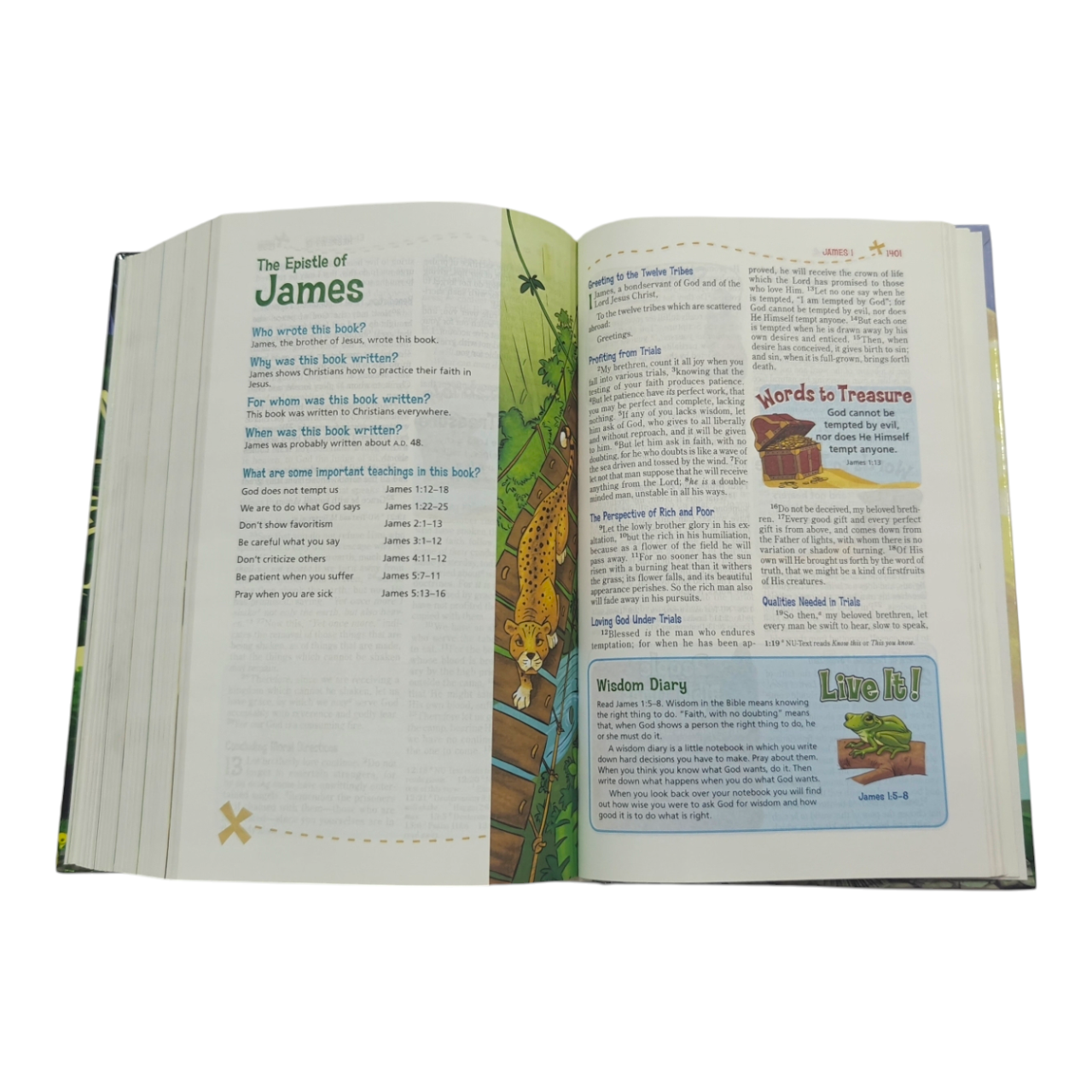 NKJV Adventure Bible, Hardcover, Full-Color (The #1 Bible for Kids) | Kids Bible, Children's Bible | Holy Bible