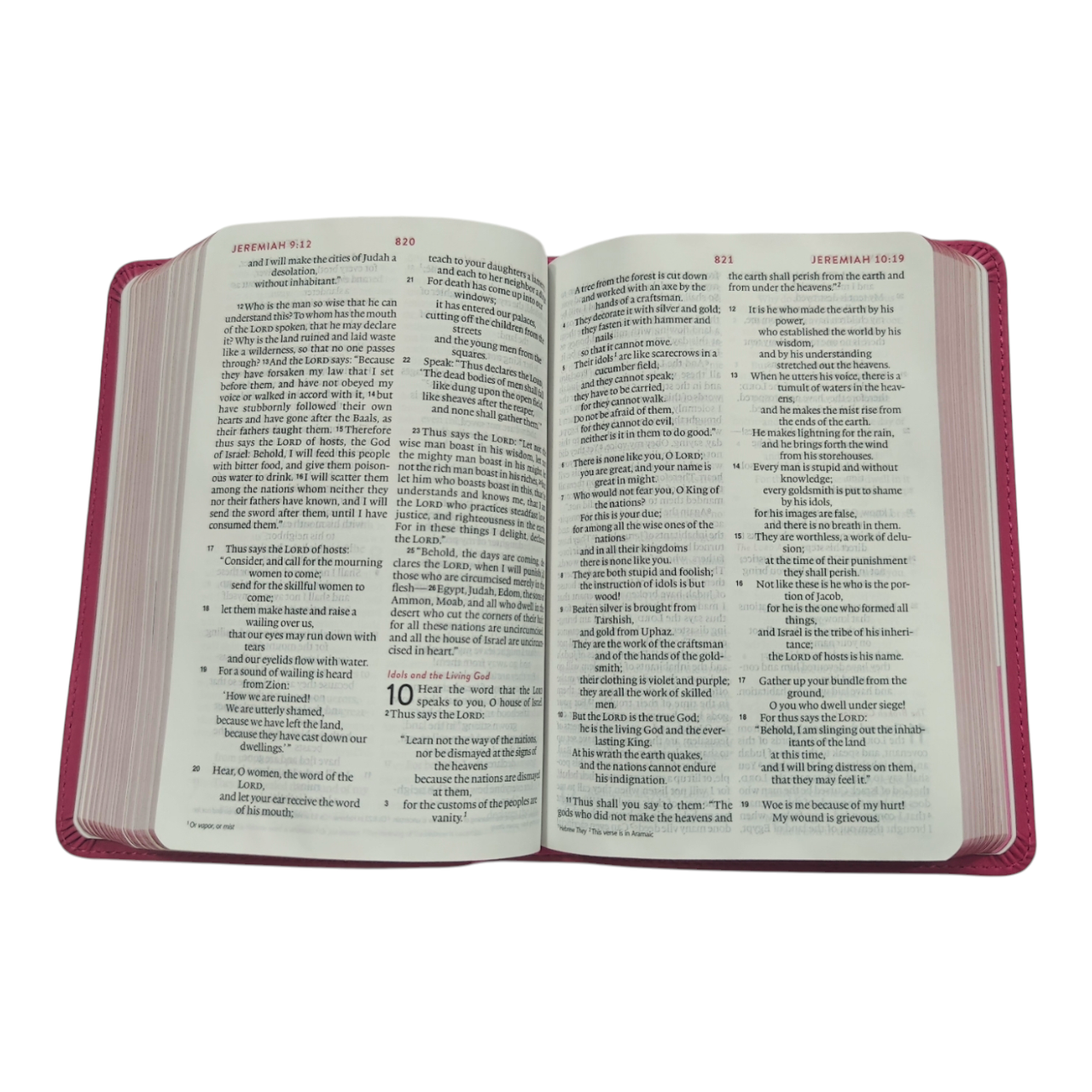 ESV Kid's Bible, Compact, TruTone, Forest Design - A Durable and Portable First Bible for Kids | Kids Bible, Children's Bible | Holy Bible