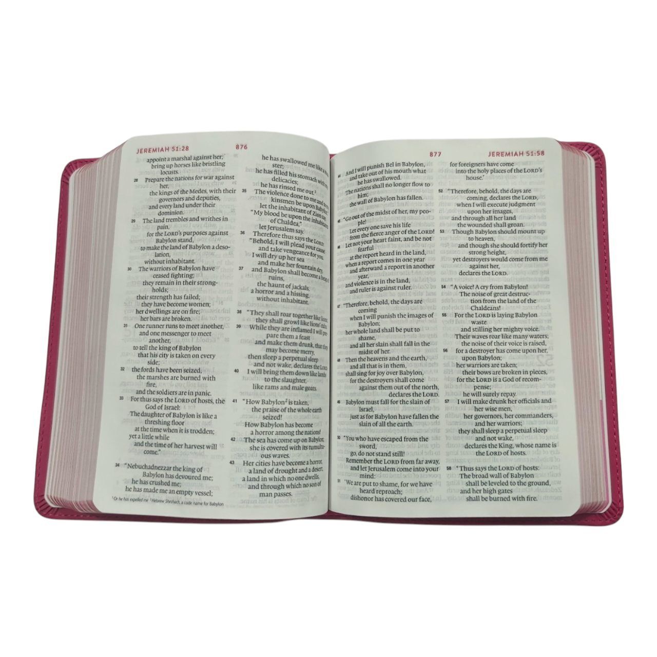 ESV Kid's Bible, Compact, TruTone, Forest Design - A Durable and Portable First Bible for Kids | Kids Bible, Children's Bible | Holy Bible