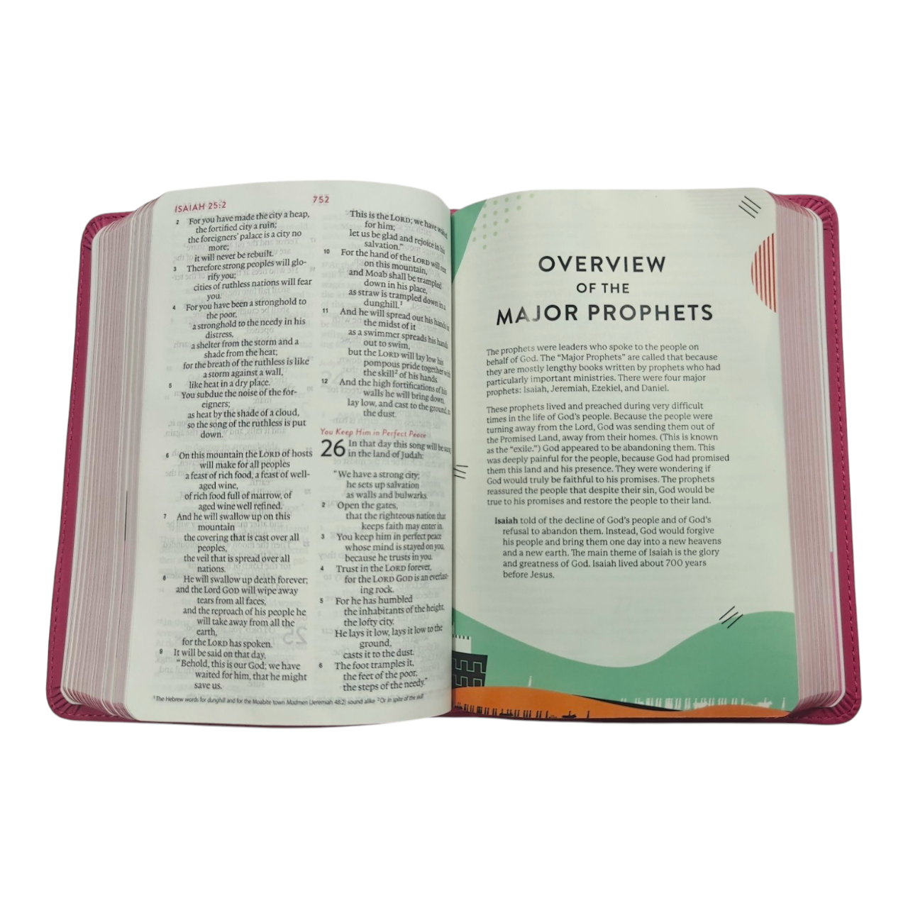 ESV Kid's Bible, Compact, TruTone, Forest Design - A Durable and Portable First Bible for Kids | Kids Bible, Children's Bible | Holy Bible