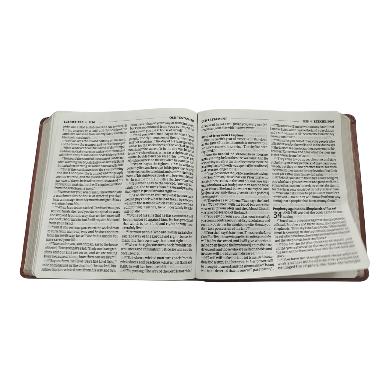 Amplified Holy Bible, XL Edition, Leathersoft, Brown | English Bible, Holy Bible