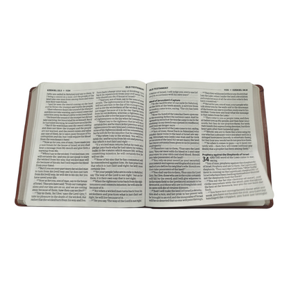 Amplified Holy Bible, XL Edition, Leathersoft, Brown | English Bible, Holy Bible