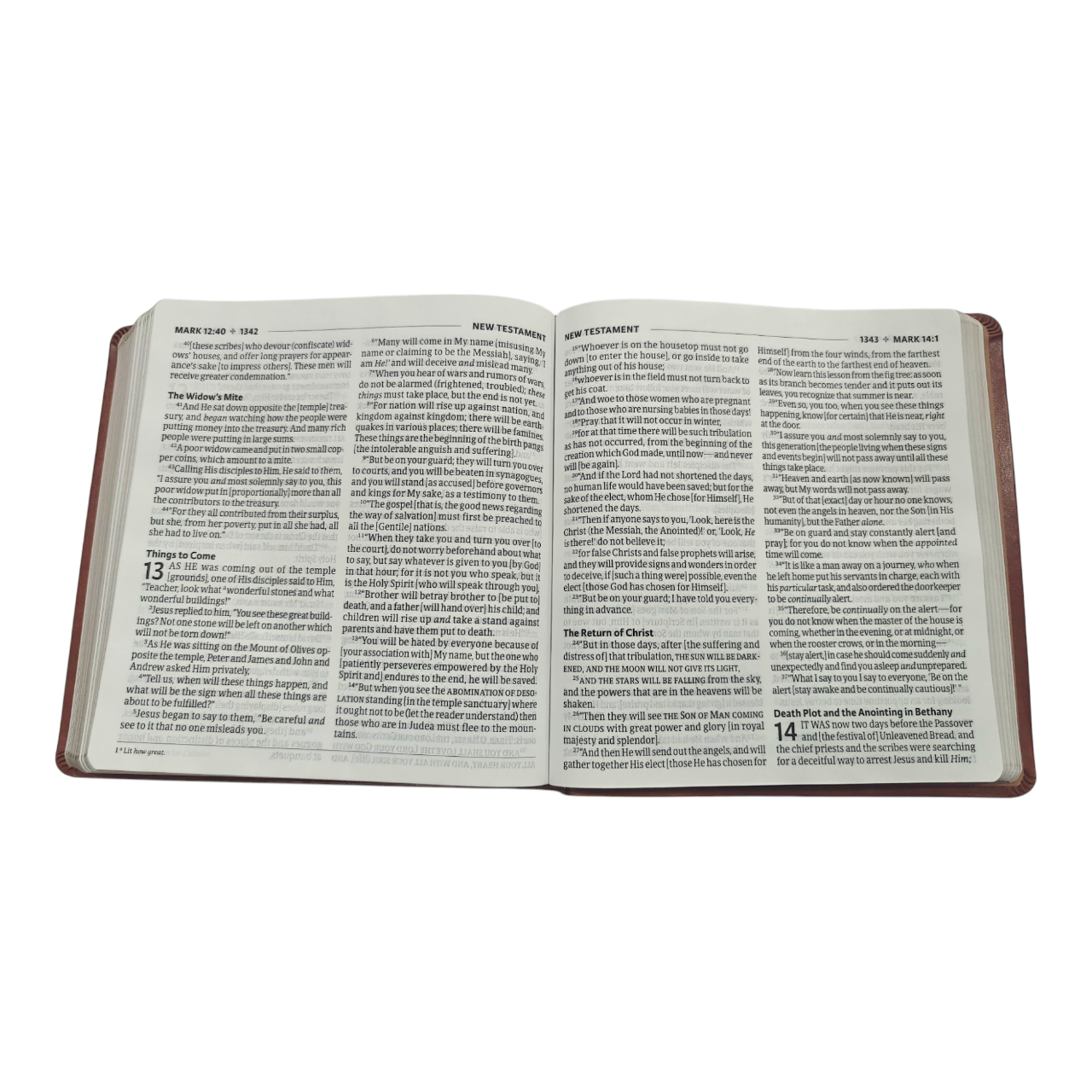 Amplified Holy Bible, XL Edition, Leathersoft, Brown | English Bible, Holy Bible