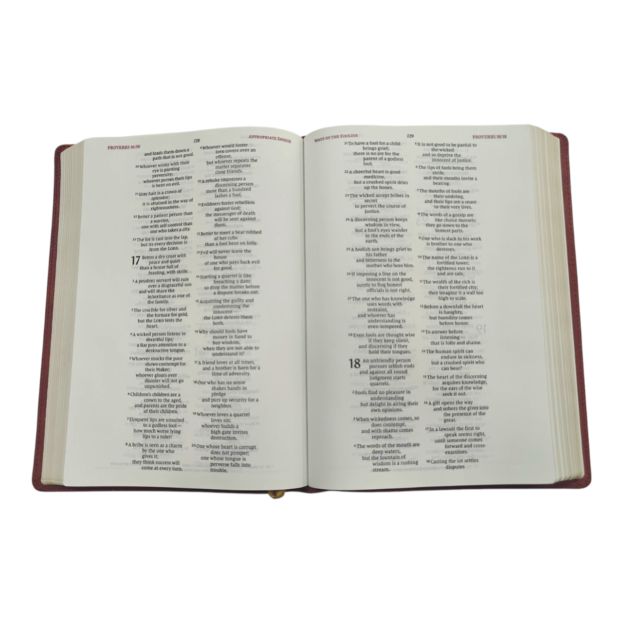 NIV Wide-Margin Bible, Leathersoft, Red Letter, Comfort Print | English Bible, Holy Bible