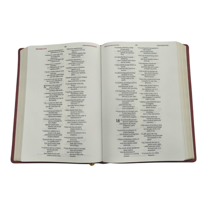 NIV Wide-Margin Bible, Leathersoft, Red Letter, Comfort Print | English Bible, Holy Bible
