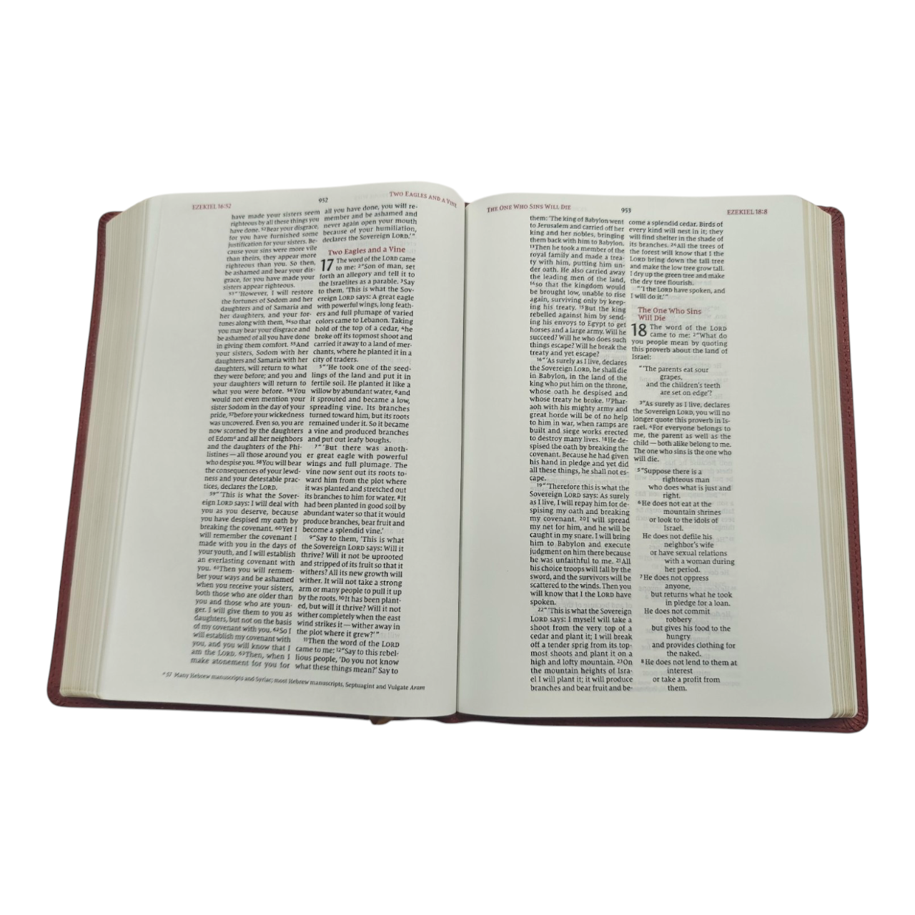 NIV Wide-Margin Bible, Leathersoft, Red Letter, Comfort Print | English Bible, Holy Bible