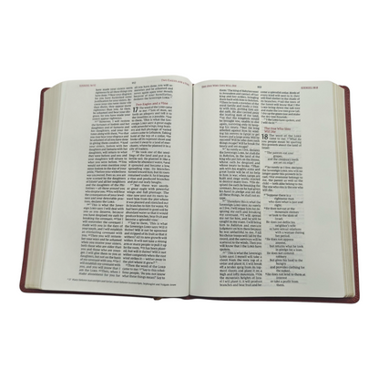 NIV Wide-Margin Bible, Leathersoft, Red Letter, Comfort Print | English Bible, Holy Bible
