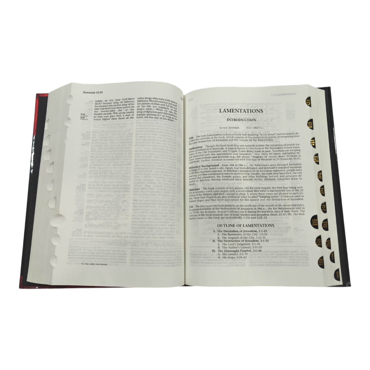 The Ryrie NIV Study Bible, Expanded Edition, 10,000+ Explanatory Notes, Red Letter (Charles C. Ryrie, Moody) | Study Bible, Reference Bible | Holy