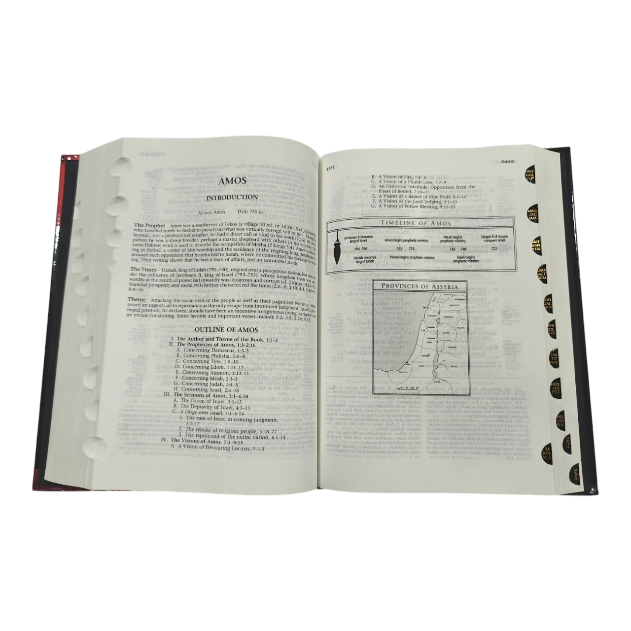 The Ryrie NIV Study Bible, Expanded Edition, 10,000+ Explanatory Notes, Red Letter (Charles C. Ryrie, Moody) | Study Bible, Reference Bible | Holy