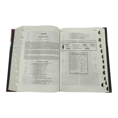 The Ryrie NIV Study Bible, Expanded Edition, 10,000+ Explanatory Notes, Red Letter (Charles C. Ryrie, Moody) | Study Bible, Reference Bible | Holy