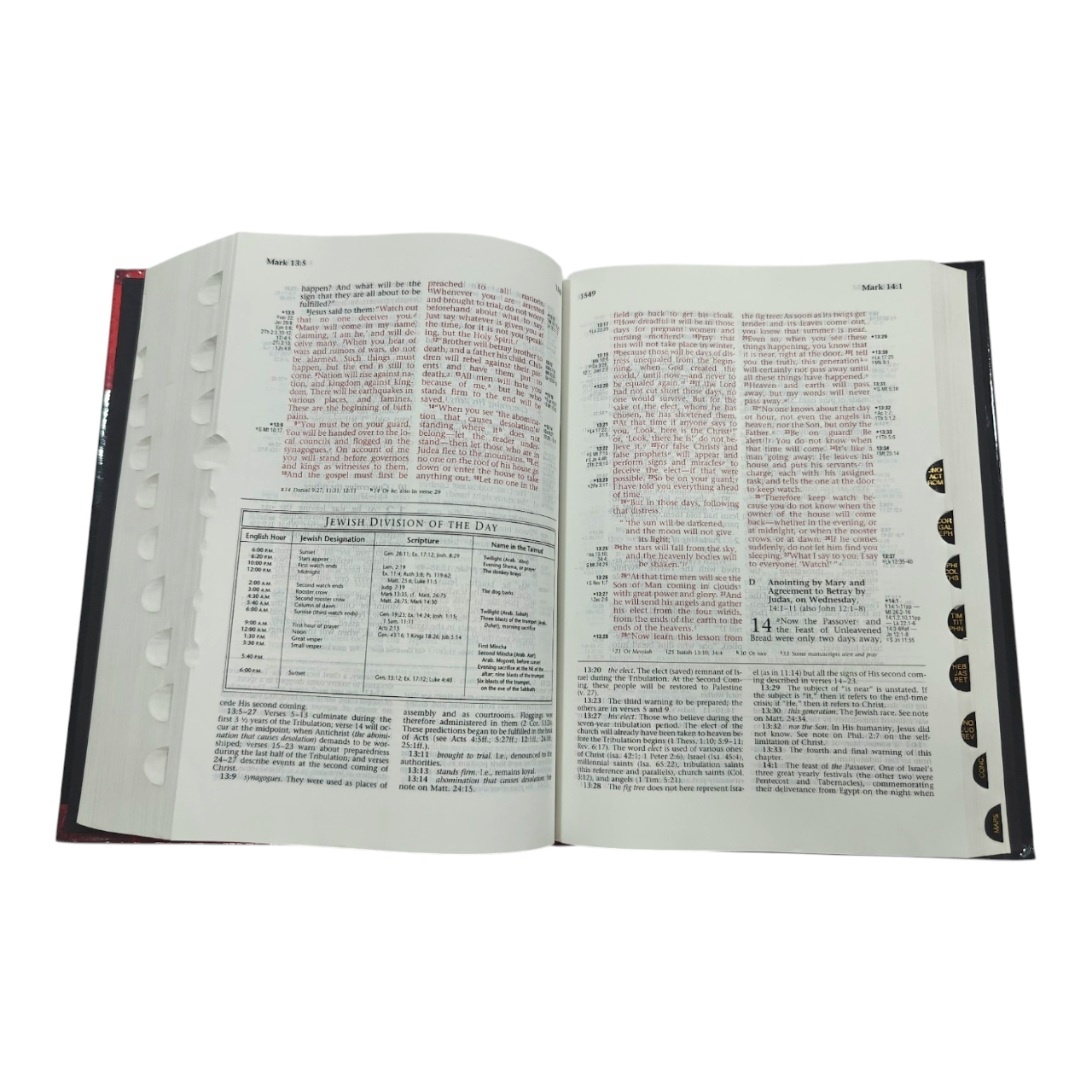 The Ryrie NIV Study Bible, Expanded Edition, 10,000+ Explanatory Notes, Red Letter (Charles C. Ryrie, Moody) | Study Bible, Reference Bible | Holy