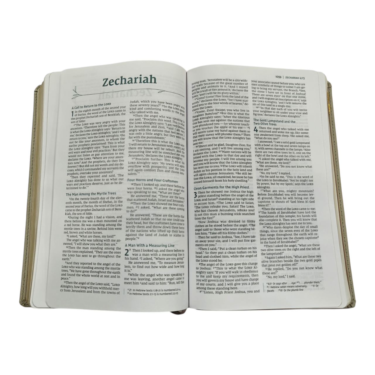 NIV Couple's Devotional Bible New International Version | English Bible, Holy Bible