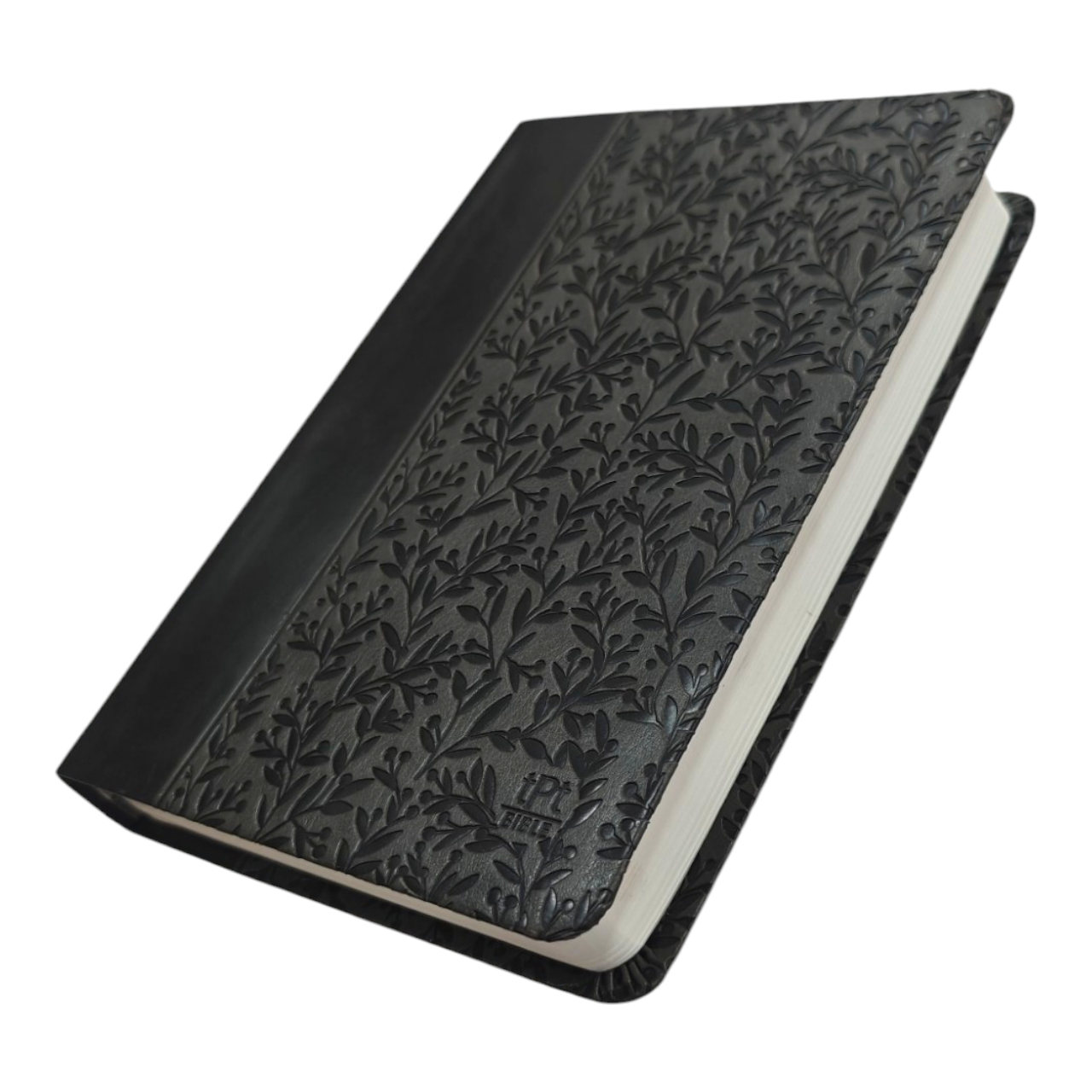 The Passion Translation New Testament Masterpiece Edition | English Bible, Holy Bible
