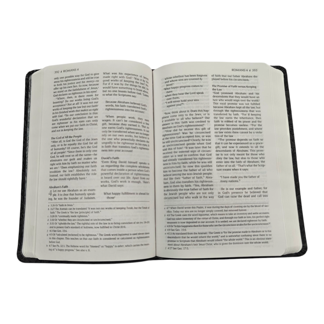 The Passion Translation New Testament Masterpiece Edition | English Bible, Holy Bible