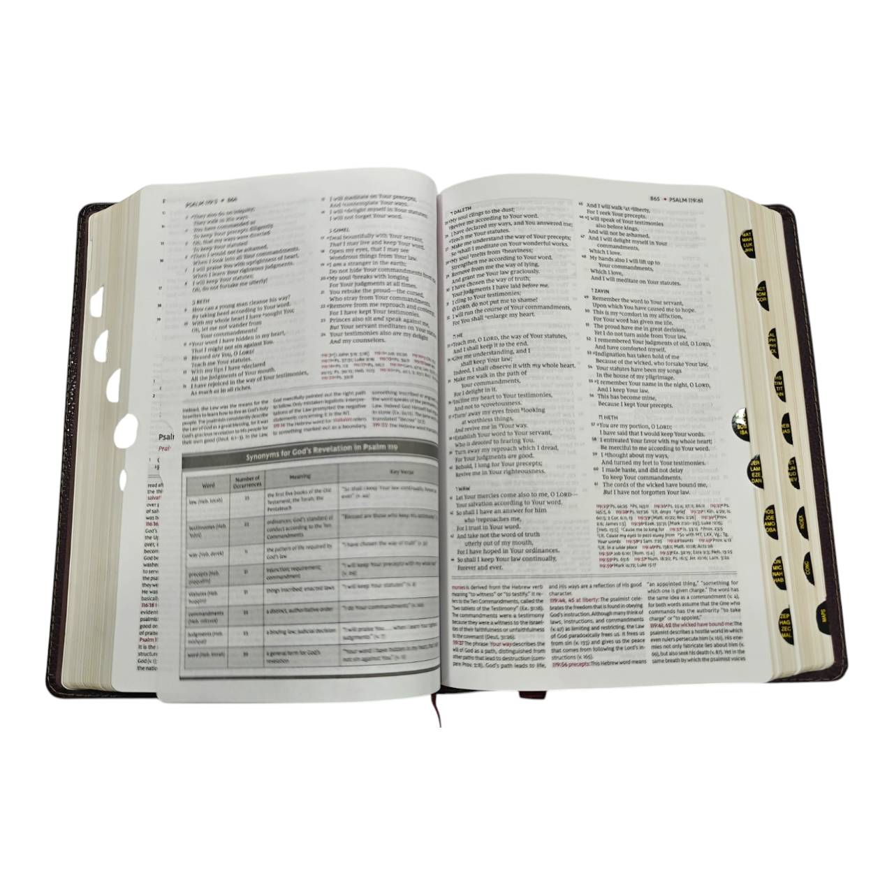 NKJV Study Bible, Leathersoft, Brown, Thumb Indexed, Comfort Print | Study Bible, Reference Bible | Holy Bible