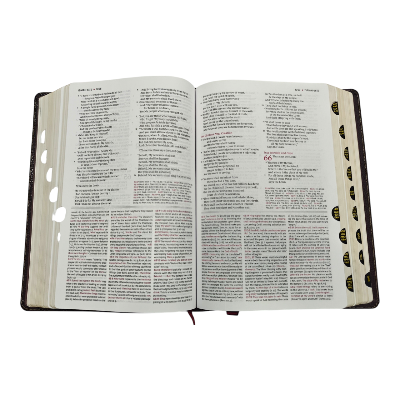 NKJV Study Bible, Leathersoft, Brown, Thumb Indexed, Comfort Print | Study Bible, Reference Bible | Holy Bible