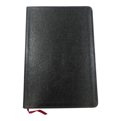NIV Cultural Backgrounds Study Bible New International Version | Study Bible, Reference Bible | Holy Bible