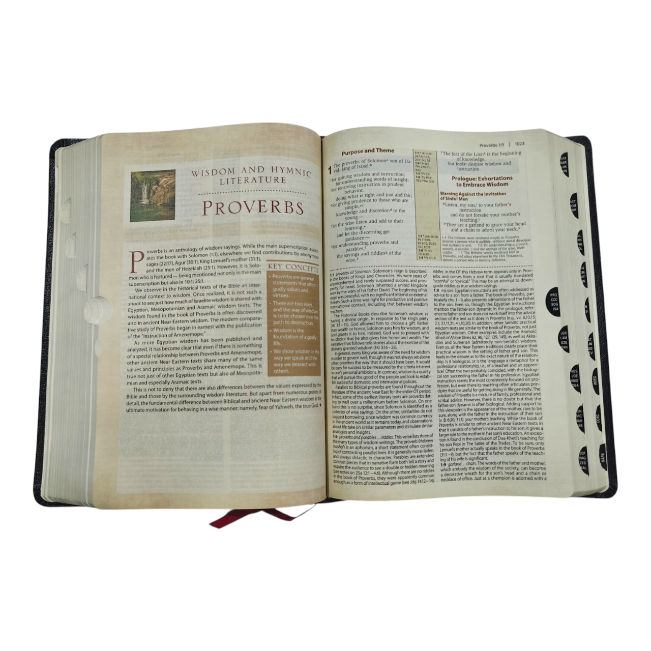 NIV Cultural Backgrounds Study Bible New International Version | Study Bible, Reference Bible | Holy Bible