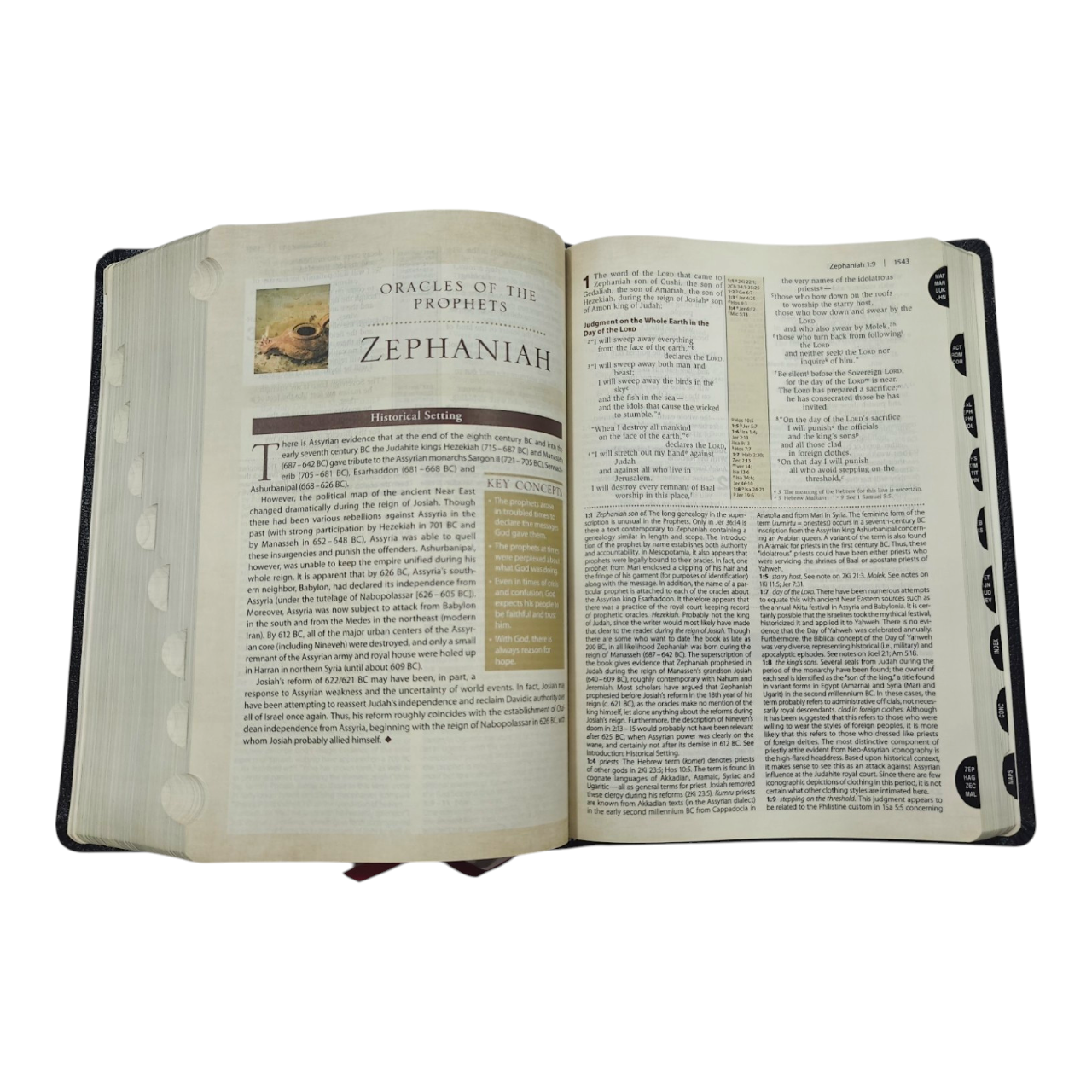 NIV Cultural Backgrounds Study Bible New International Version | Study Bible, Reference Bible | Holy Bible