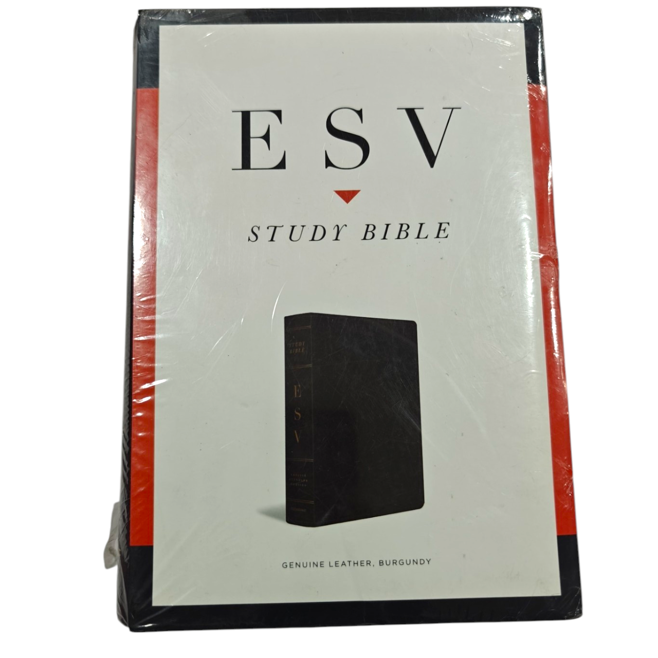 ESV Study Bible, Large Print, Hardcover | Comfortable Reading for In-Depth Biblical Study | Holy Bible