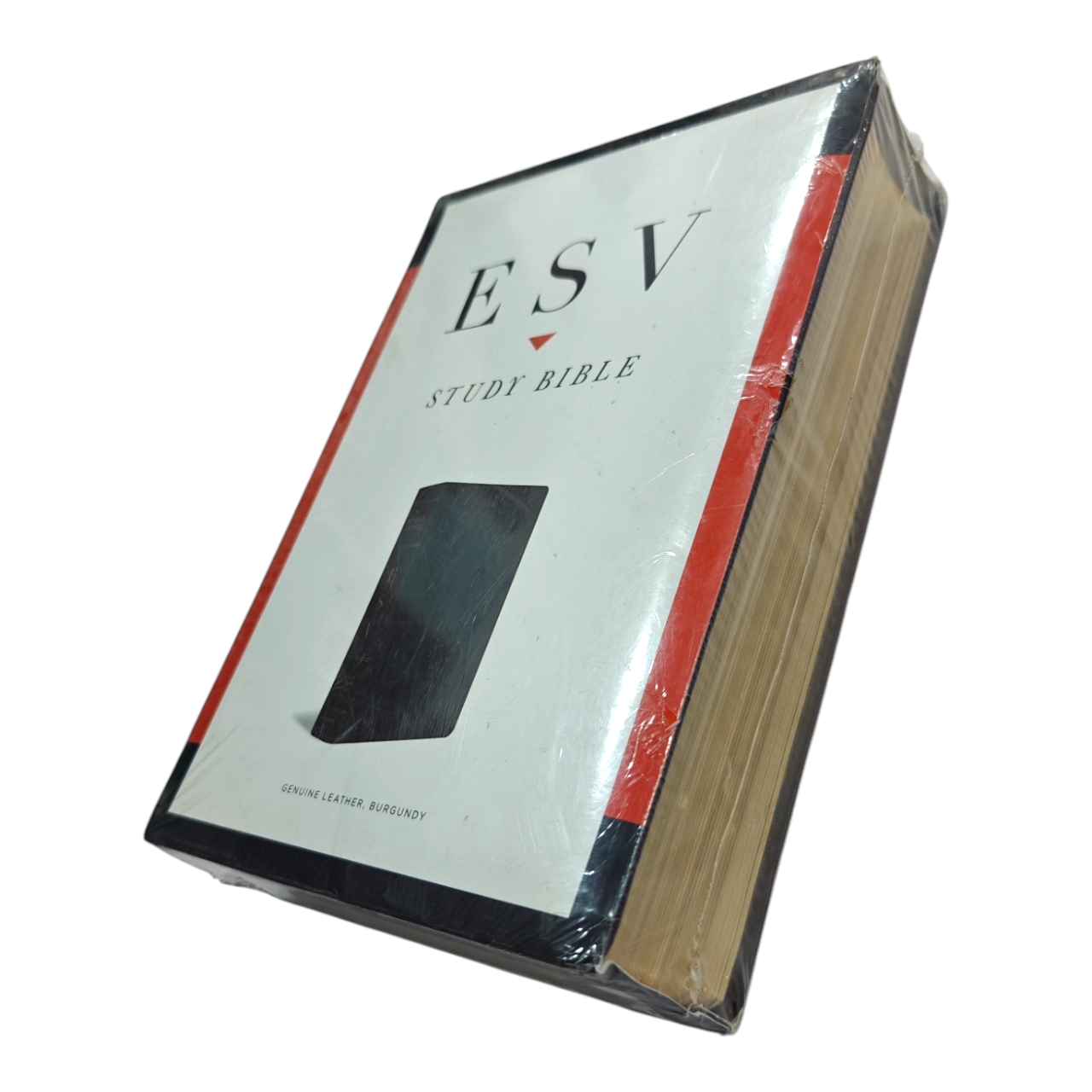 ESV Study Bible, Large Print, Hardcover | Comfortable Reading for In-Depth Biblical Study | Holy Bible
