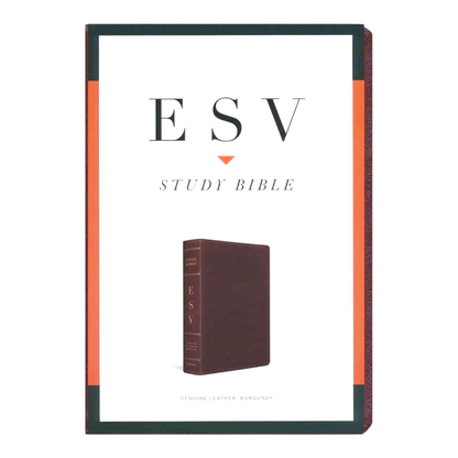 ESV Study Bible, Large Print, Hardcover | Comfortable Reading for In-Depth Biblical Study | Holy Bible