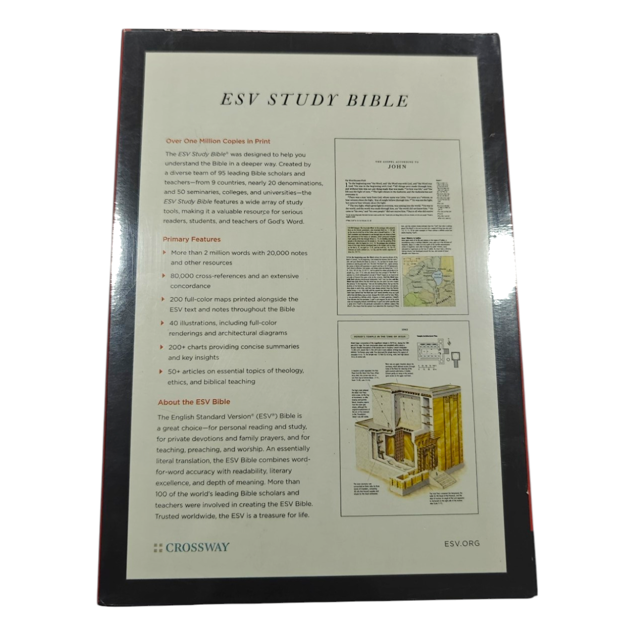 ESV Study Bible | Study Bible, Reference Bible | Holy Bible