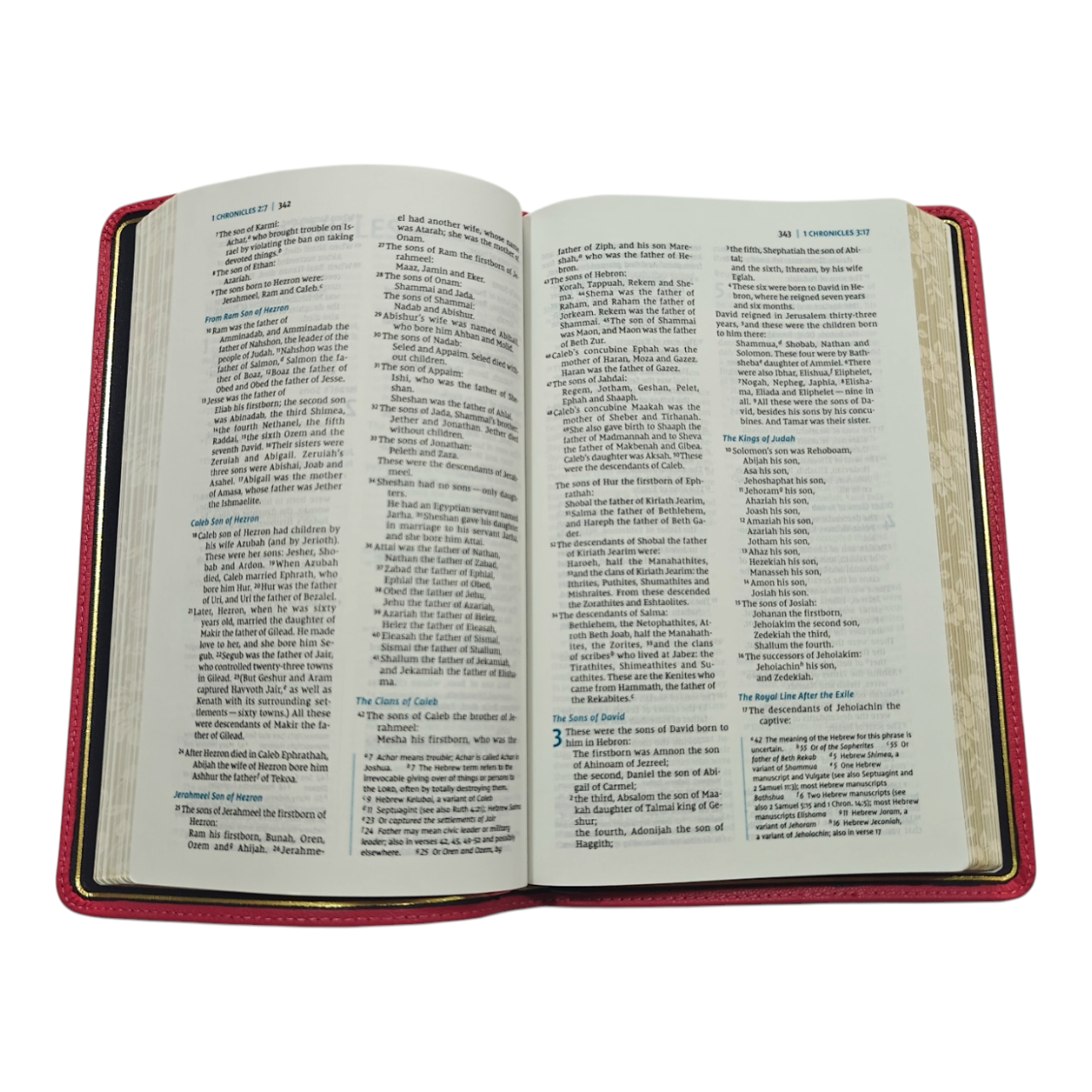 NIV Thinline Bible, Premier Collection, Premium Goatskin Leather, Comfort Print | English Bible, Holy Bible