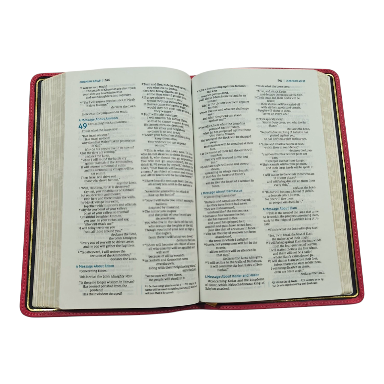 NIV Thinline Bible, Premier Collection, Premium Goatskin Leather, Comfort Print | English Bible, Holy Bible