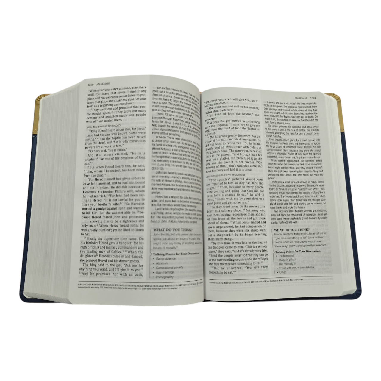 Standard Lesson Study Bible, 60 Years of Commentary (NIV / KJV Adult Study Bible) | Bible Commentary, Bible Reference | English Christian Book
