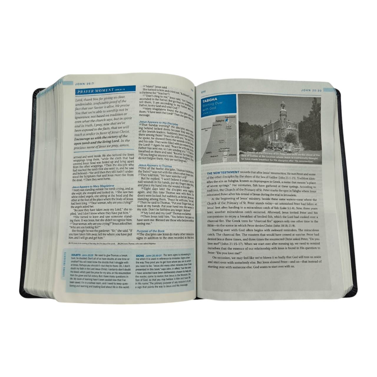 The Swindoll Study Bible NLT, Charles Swindoll Study Notes, Application Articles & Holy Land Tour, Bible of the Year (New Living Translation) |