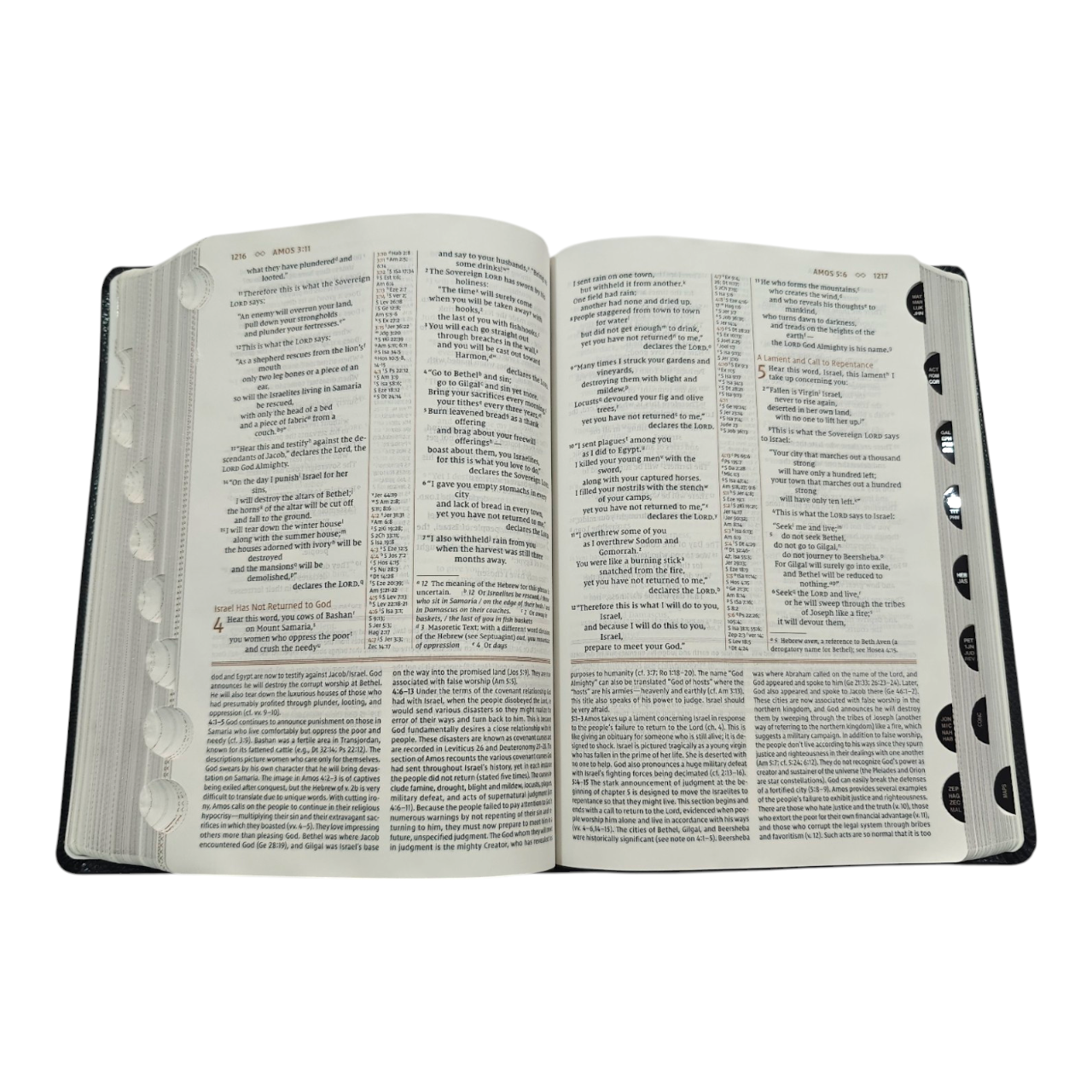 NIV Grace & Truth Study Bible, Thumb Index, Comfort Print, Red Letter Edition | Study Bible, Reference Bible | Holy Bible