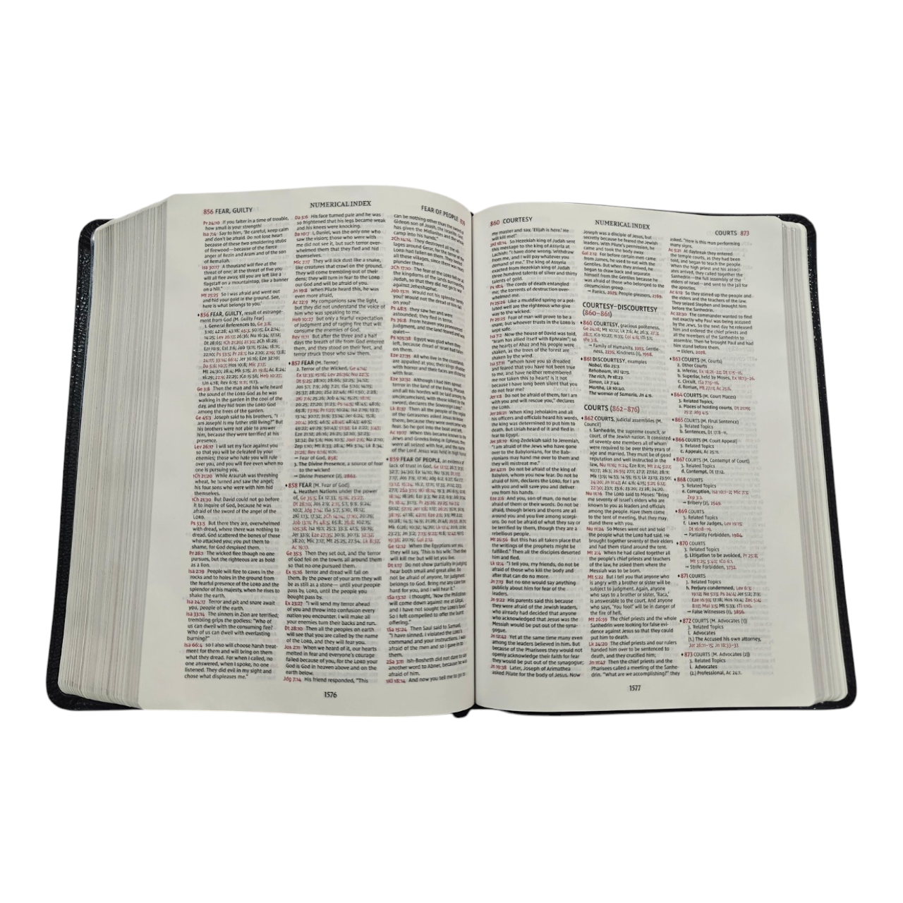 NIV Thompson Chain-Reference Bible, Red Letter, Comfort Print | Study Bible, Reference Bible | Holy Bible