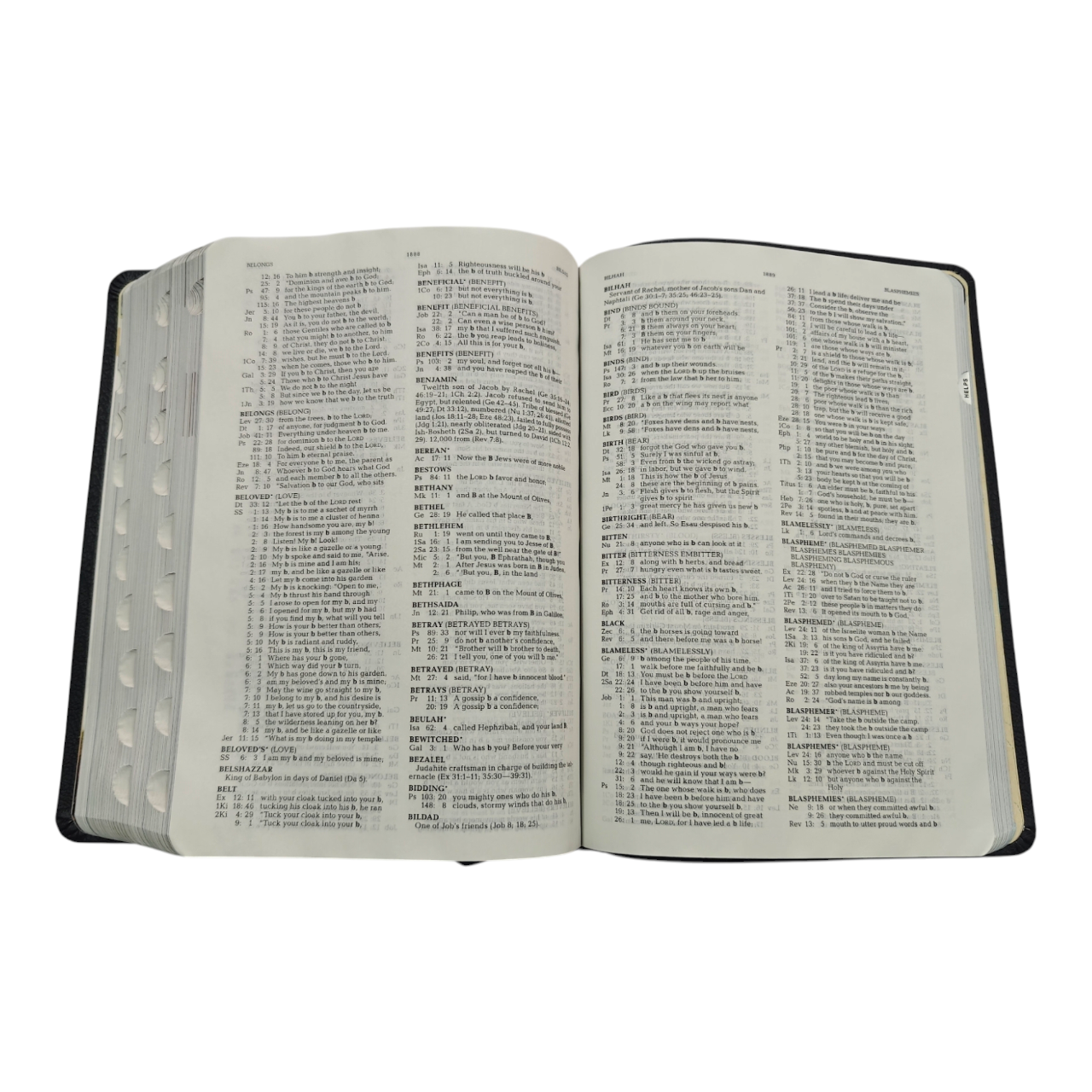 NIV Jeremiah Study Bible, Dr. David Jeremiah, Red Letter Edition | Study Bible, Reference Bible | Holy Bible